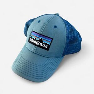 Blue Patagonia snap back